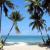 Summer_set