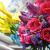 rose_rom